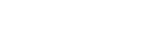 The Day After Project